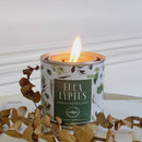 Indigo Home Insect Repellant Soy Candles Scented 100g