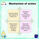 Happy Noz Onion Stickers Kids 6's