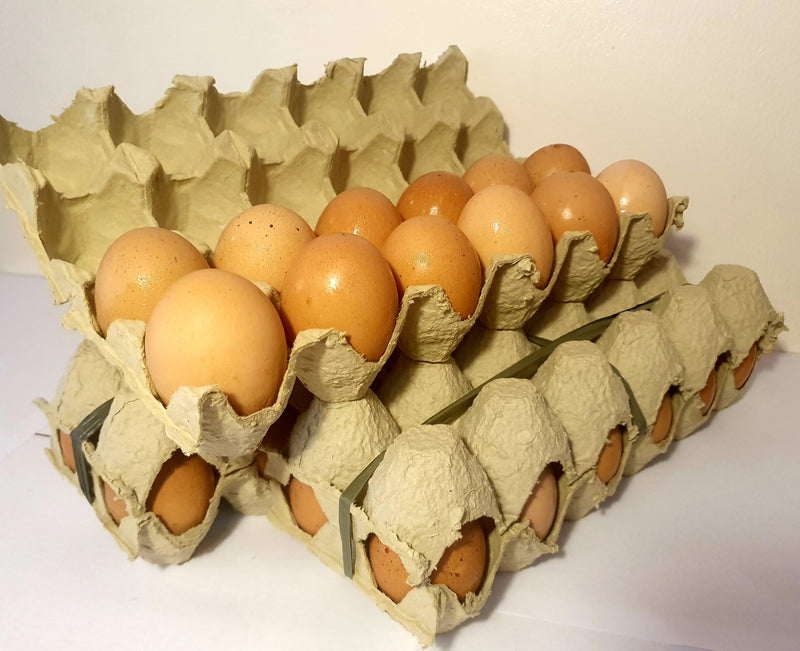 BuKIDS Free-Range Eggs 12's