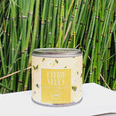 Indigo Home Insect Repellant Soy Candles Scented 100g