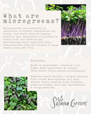 Solana Greens Seeds Refill Pack